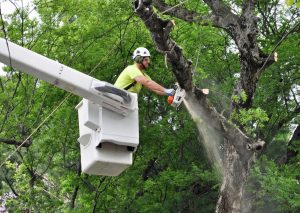 Bucket Truck Aerial Lift Operator